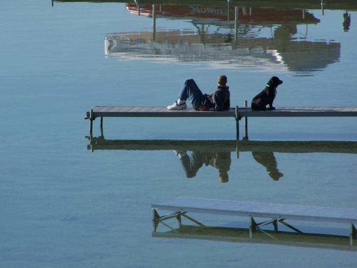 Man and his dog on the dock